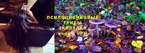 хмурый Балабаново